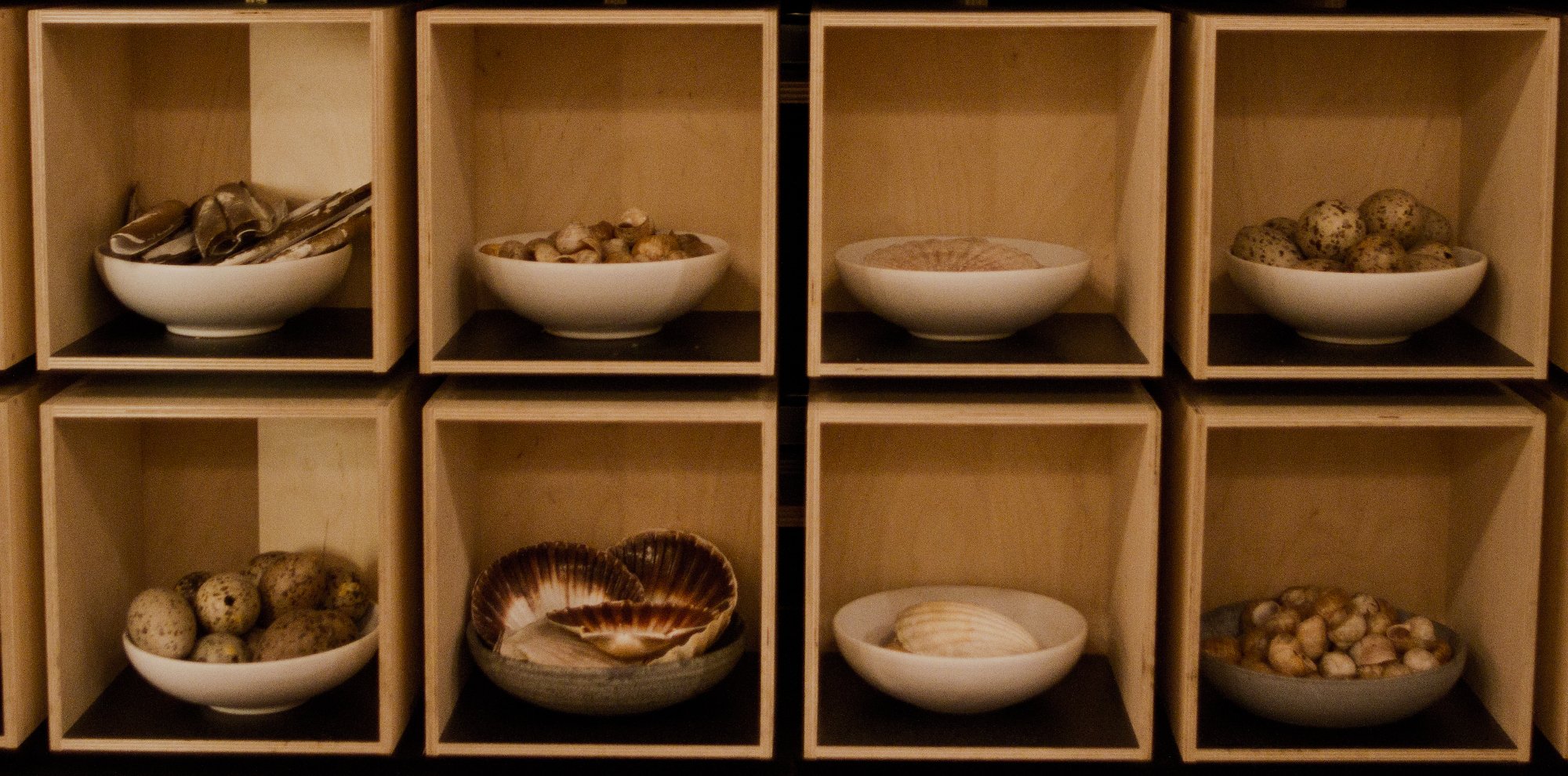 Noma, Plate by Plate
