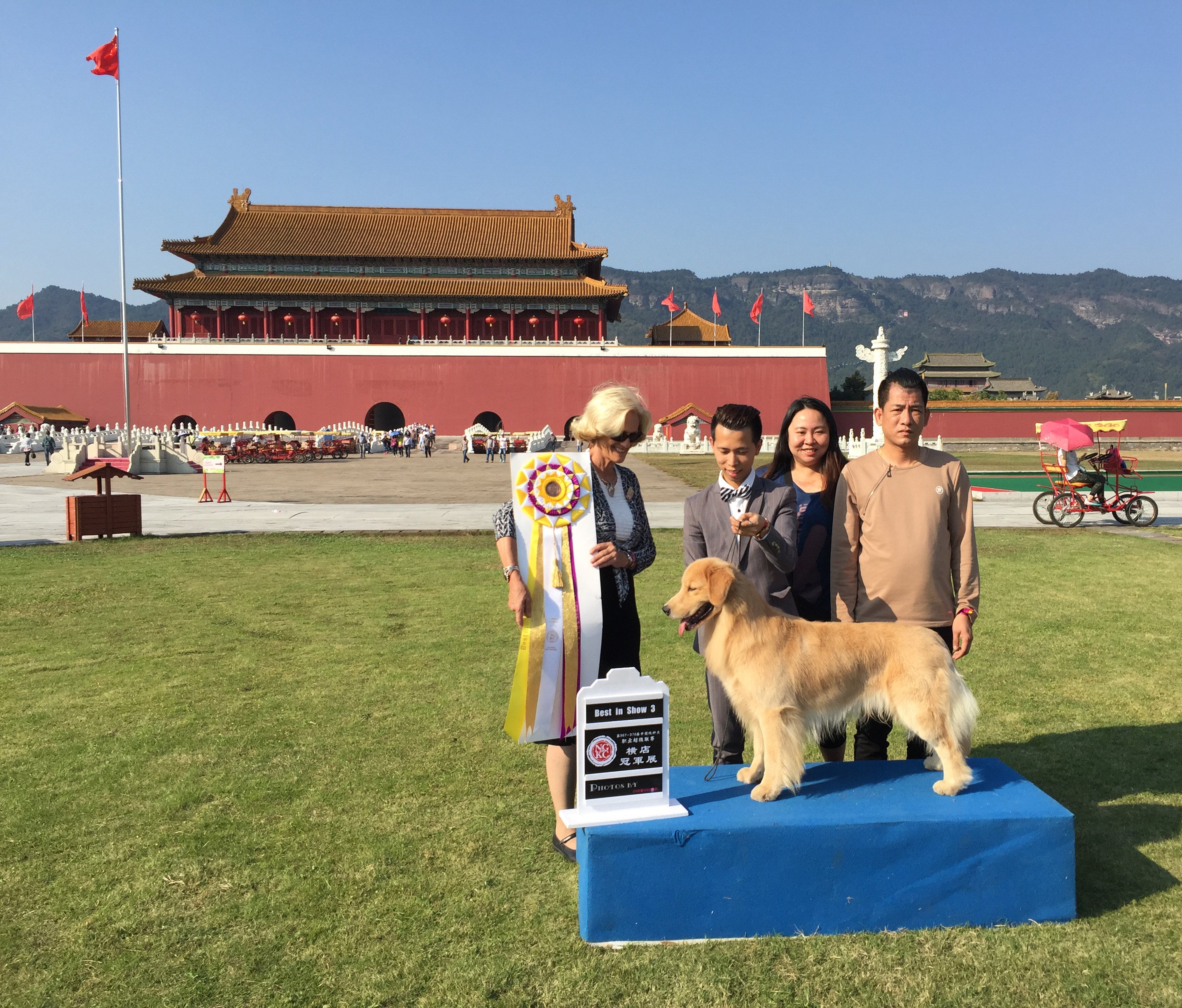 Best in Show, China