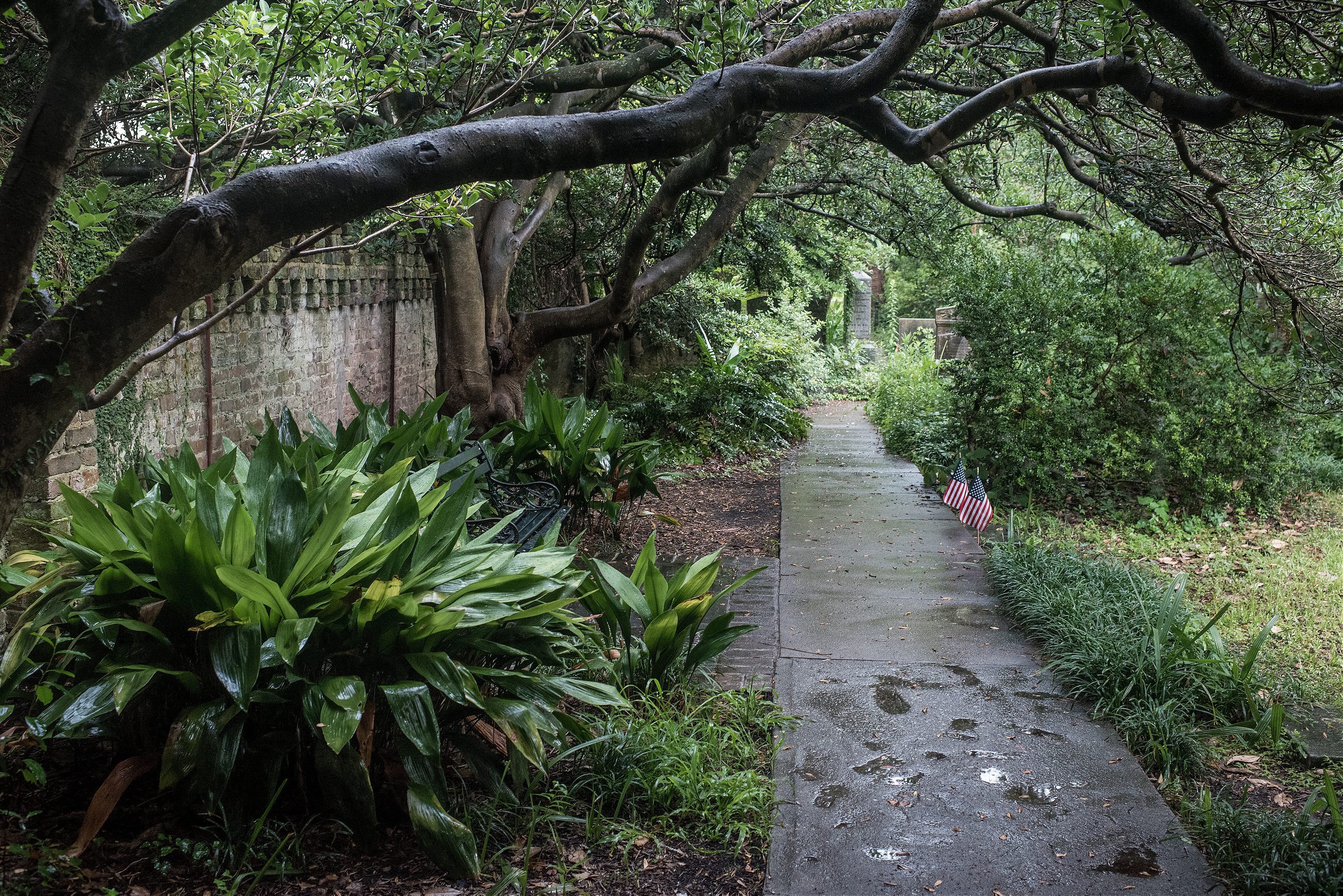 walking tour map charleston