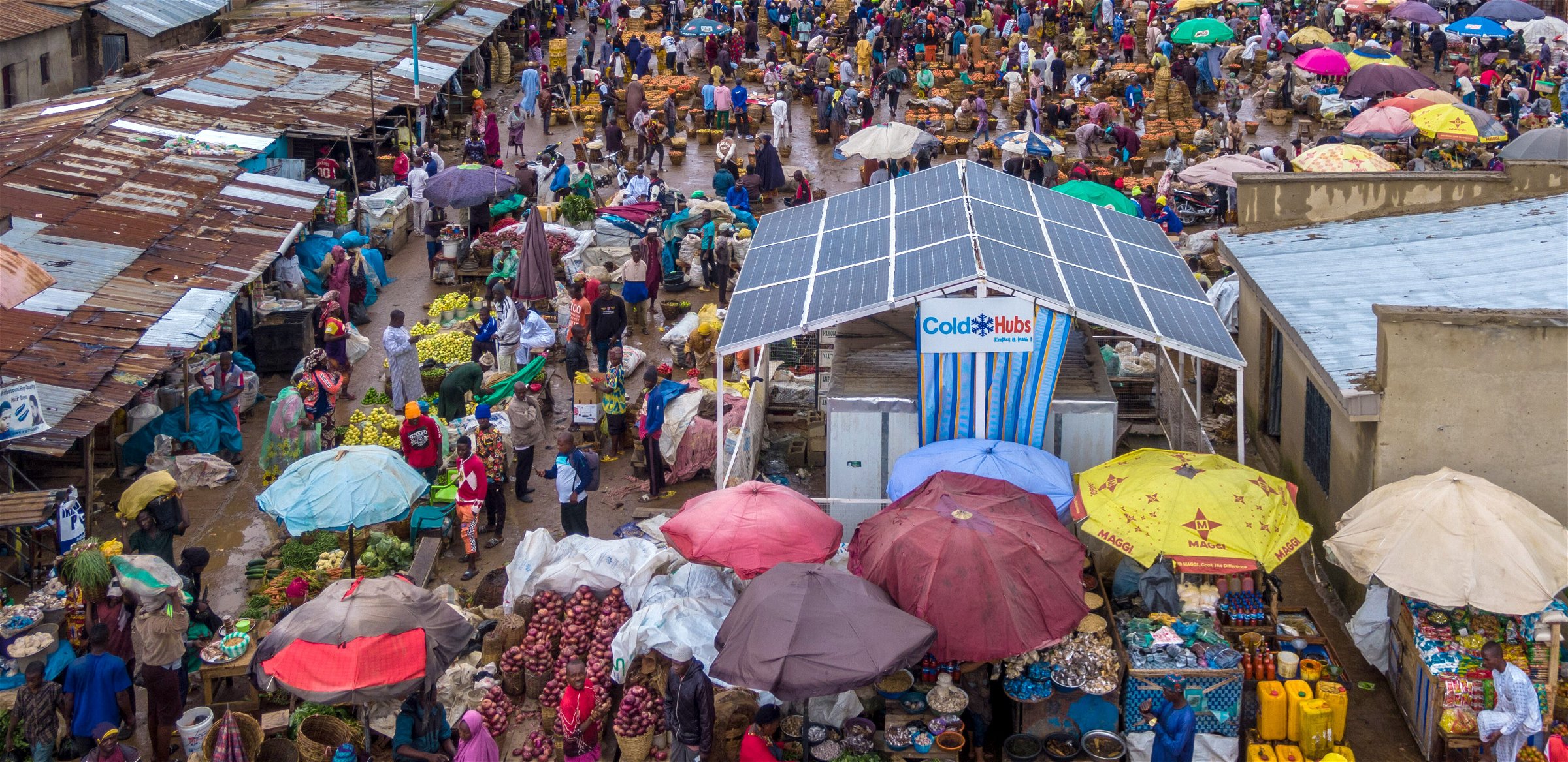 Risk In Consuming Rotten Fruits and Vegetables — Solar-powered cold storage  for developing countries