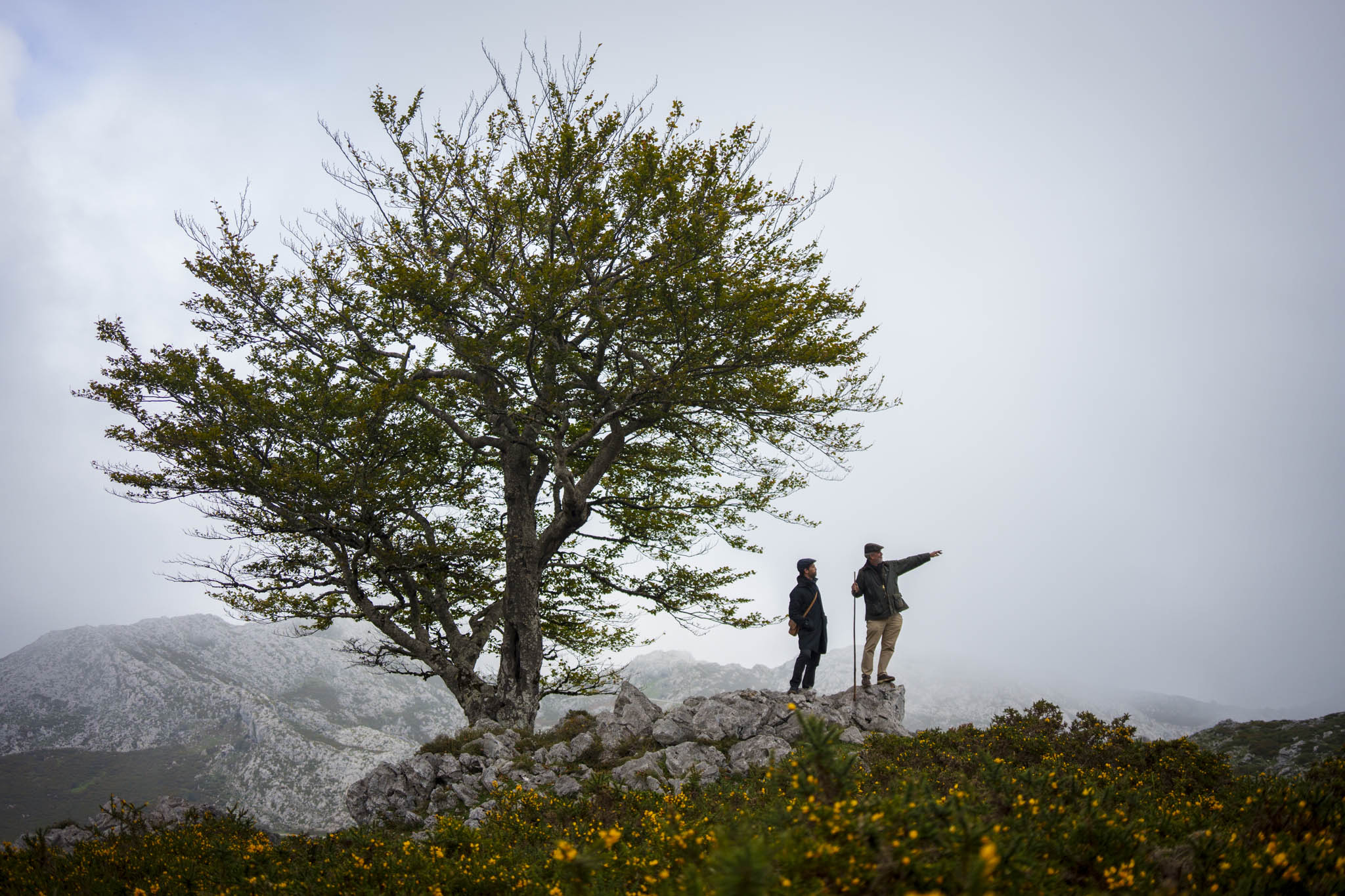 How We Build a Trip